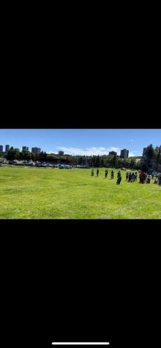 PHOTO-2022-11-04-20-10-59